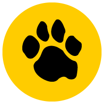 myUMBC paw inside yellow circle